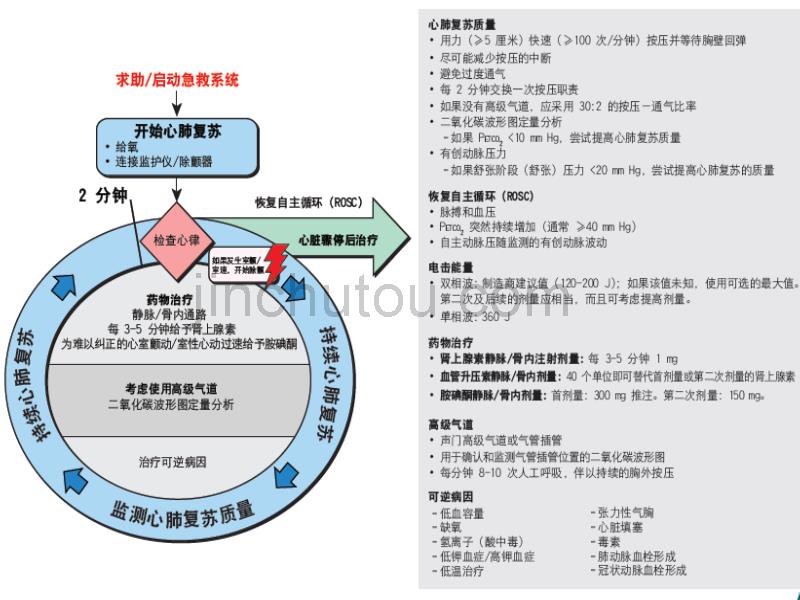 2012心肺复苏培训课件(教)_第4页