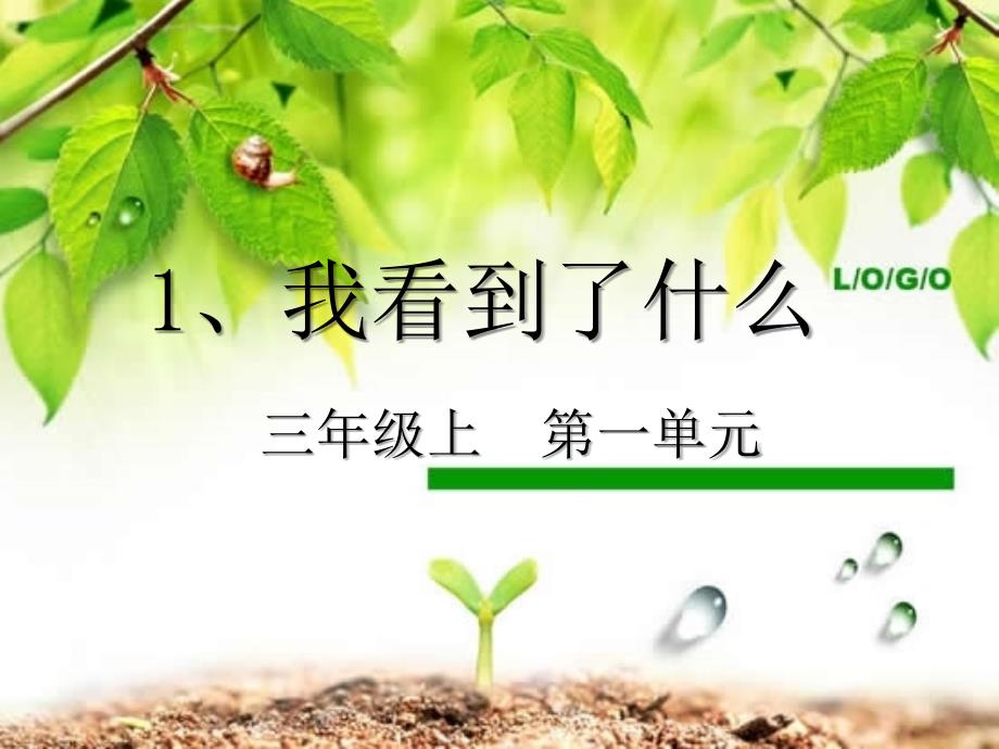 教科版科学三年级上册《我看到了什么》PPT课件19_第1页