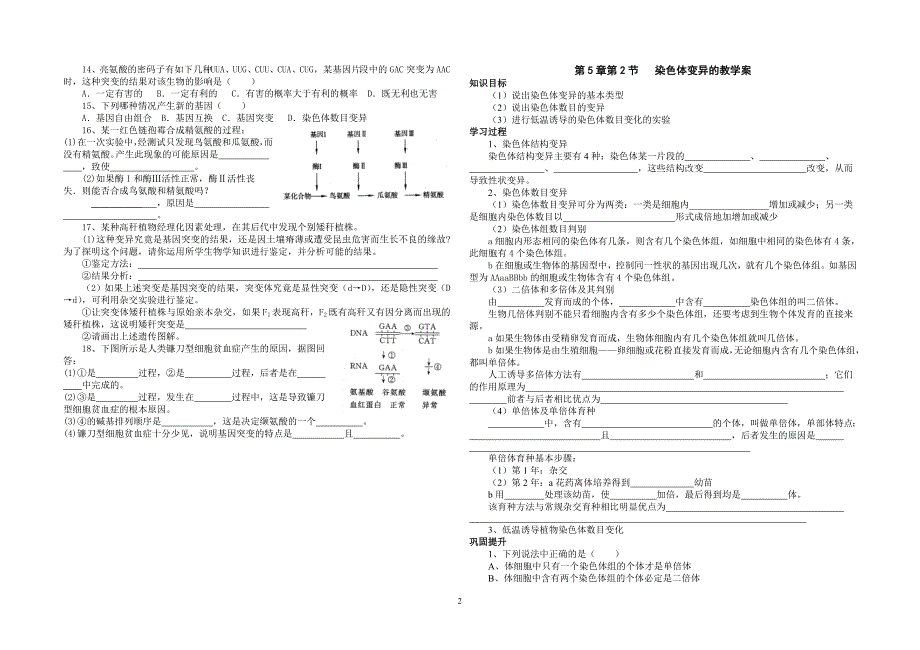 【优质】高中生物必修二第5章 基因突变及其他变异学案及答案_第2页