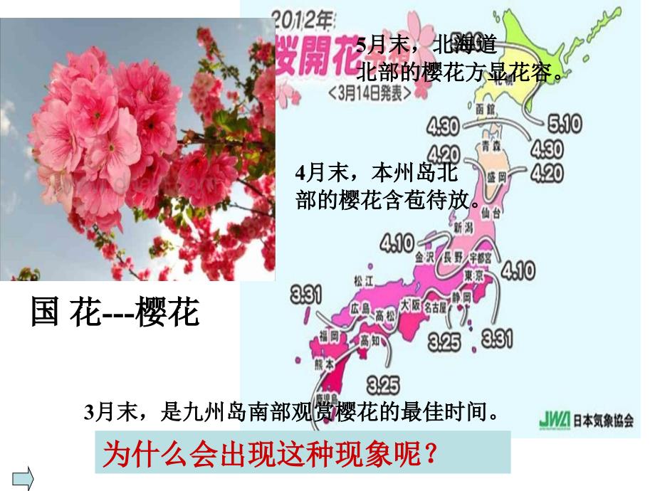 商务星球版七下8.1日本(一)课件（共15张PPT）_第3页