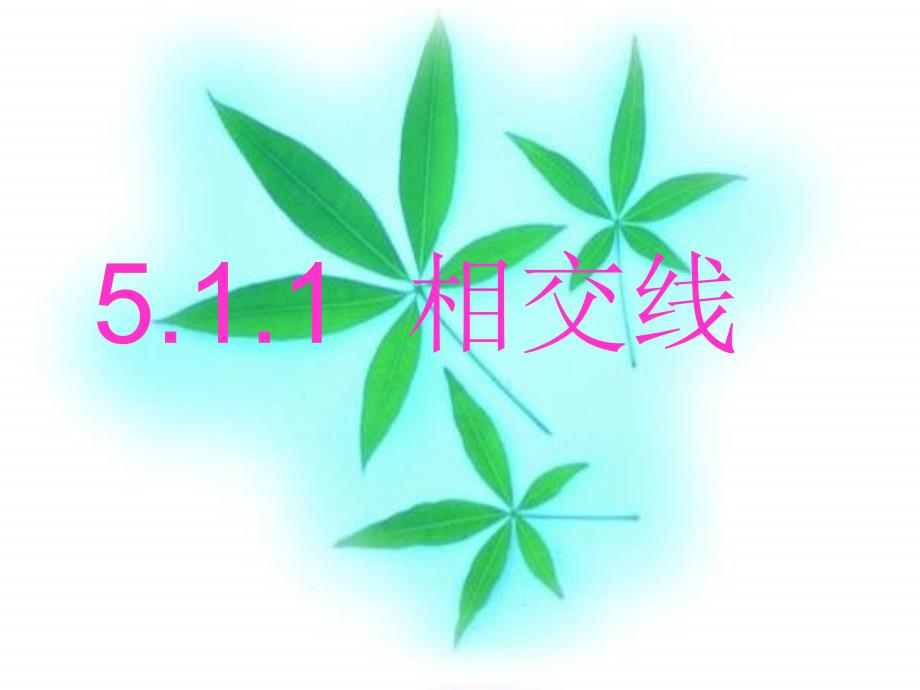 七年级数学相交线3_第1页