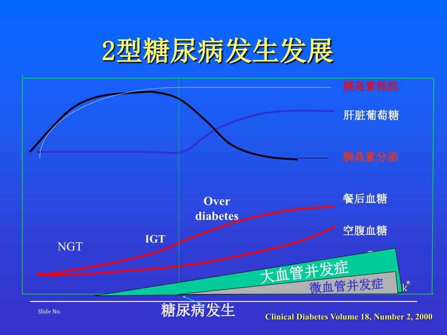 ※糖尿病的胰岛素治疗--福州胰岛素班_第3页