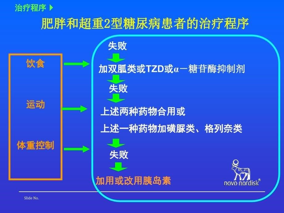 ※糖尿病的胰岛素治疗--福州胰岛素班_第5页