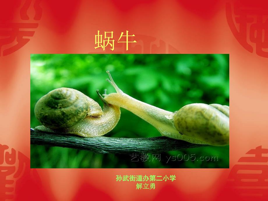 教科版科学三年级上册《蜗牛一》PPT课件4_第1页