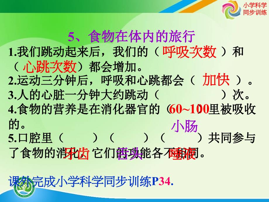 教科版科学四上《食物在体内的旅行》PPT课件3_第1页