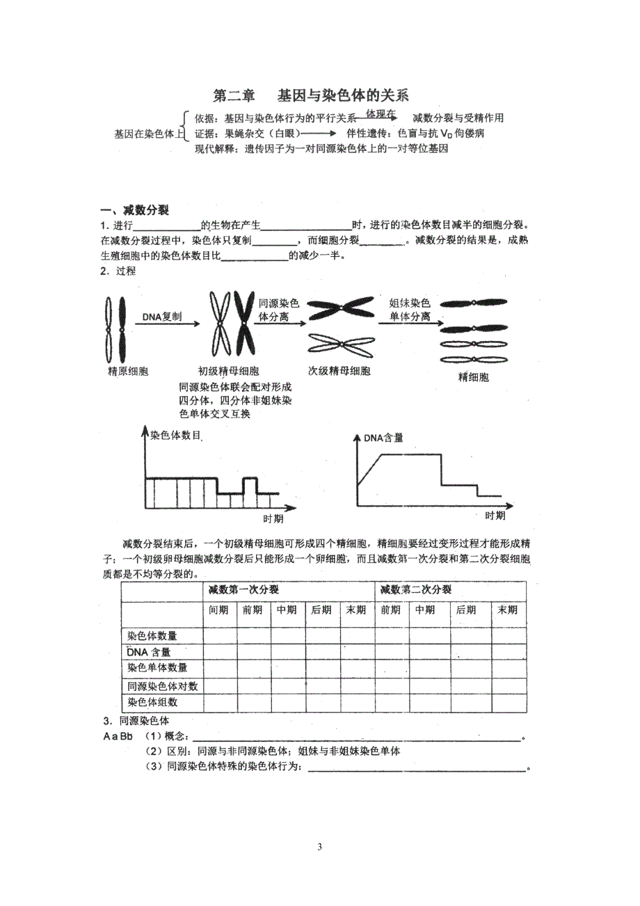 (生物)高三生物基础知识过关《必修二：遗传与进化》HF_第3页