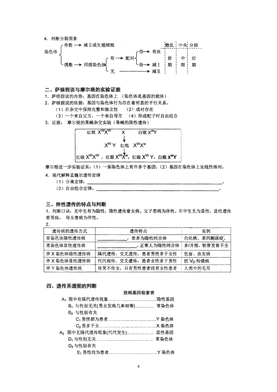 (生物)高三生物基础知识过关《必修二：遗传与进化》HF_第4页