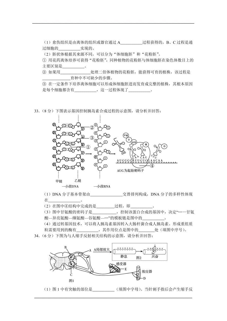 北京2011西城区高三第一学年期末生物试题及答案_第5页