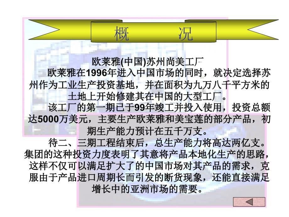 欧莱雅及上海家化案例分析_第5页