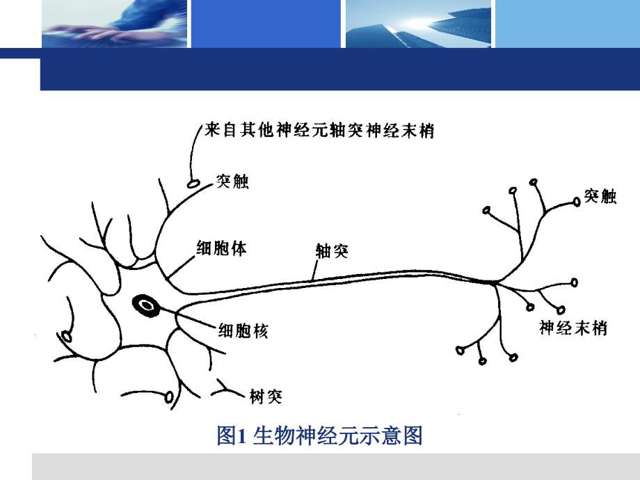 神经网络模型及仿真_第4页