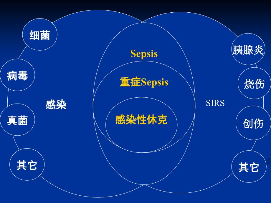 ww儿科SIRS与Sepsis的新概念及临床研究进展_第3页