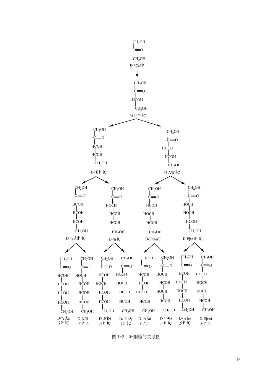 【农学课件】第六章-- 糖类及糖代谢_第4页