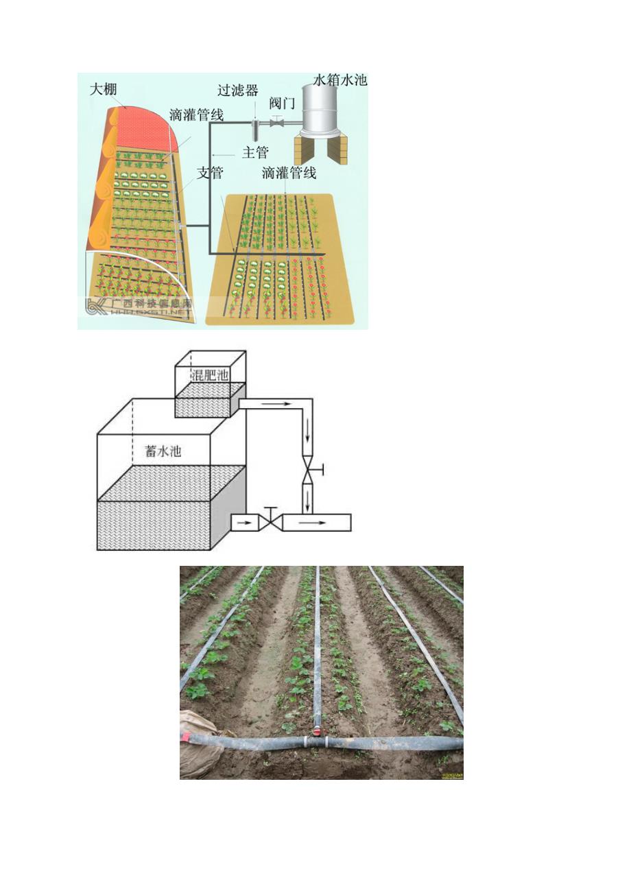 温室大棚中的重力滴灌技术_第3页