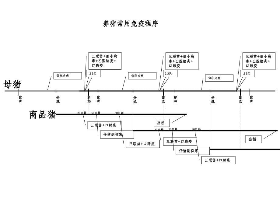 养猪场常见疾病_第5页