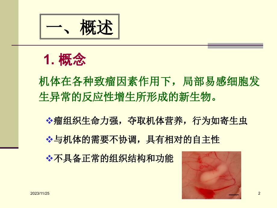 食用动物肿瘤病理课件_第2页