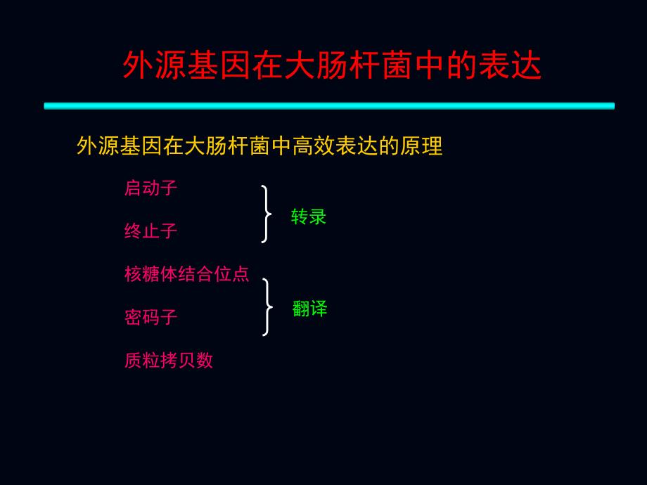 外源基因在大肠杆菌中的表达_第4页