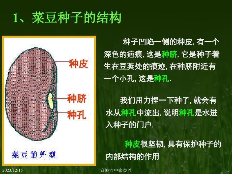 初一生物种子的结构_第5页