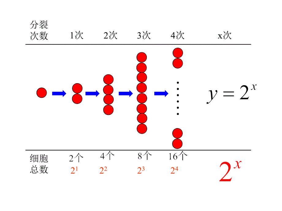 高中数学 指数函数图像与性质_第3页