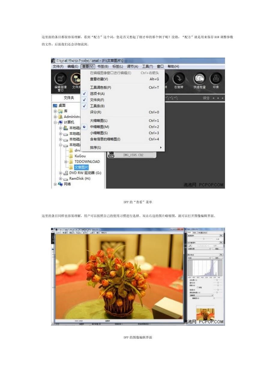 佳能raw软件dpp详解_第5页