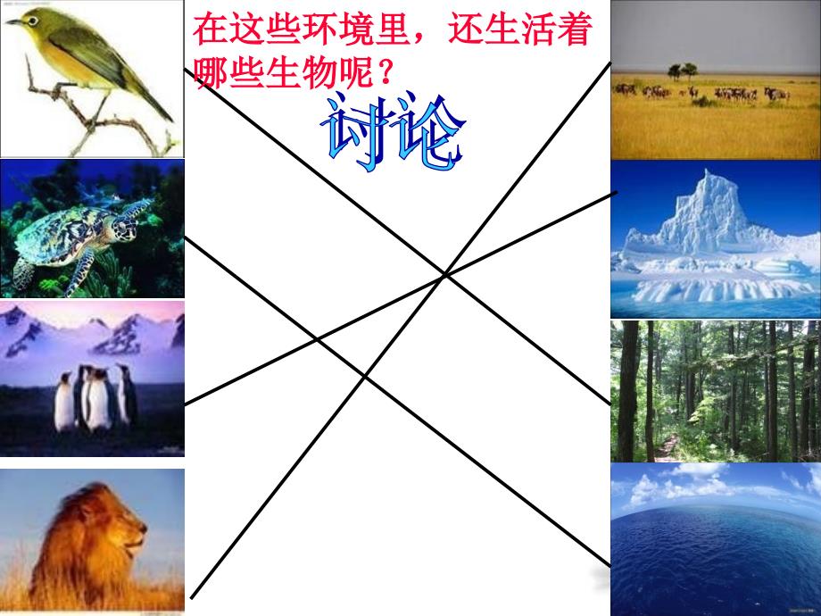 寻找生物的家园_第4页