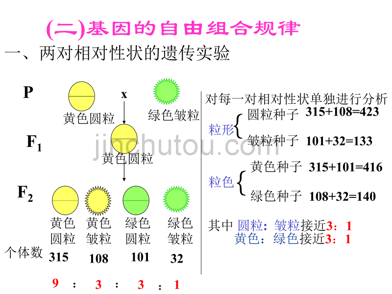 高二生物自由组合_第3页