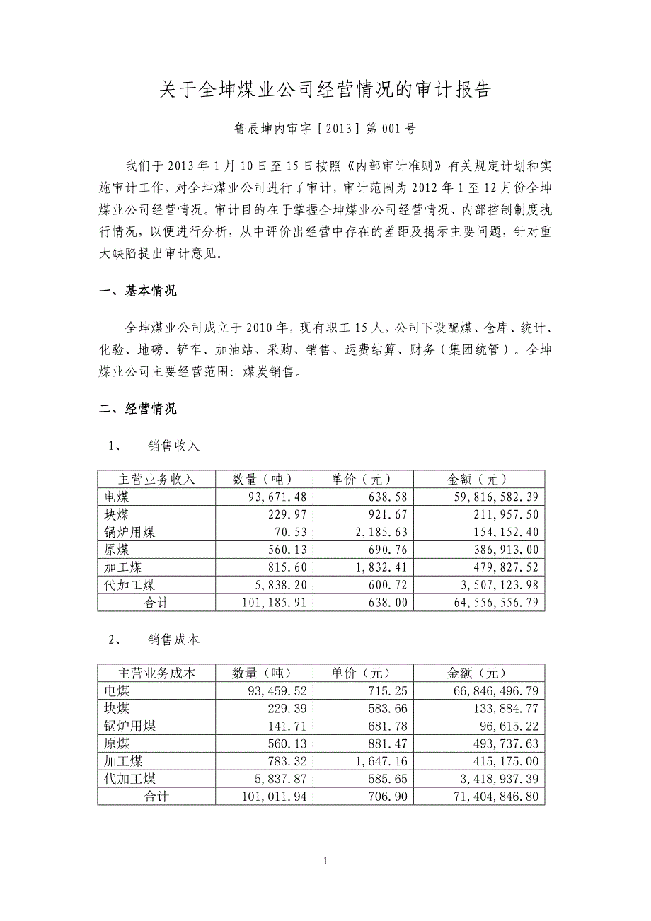 煤业公司内部审计报告定稿_第1页