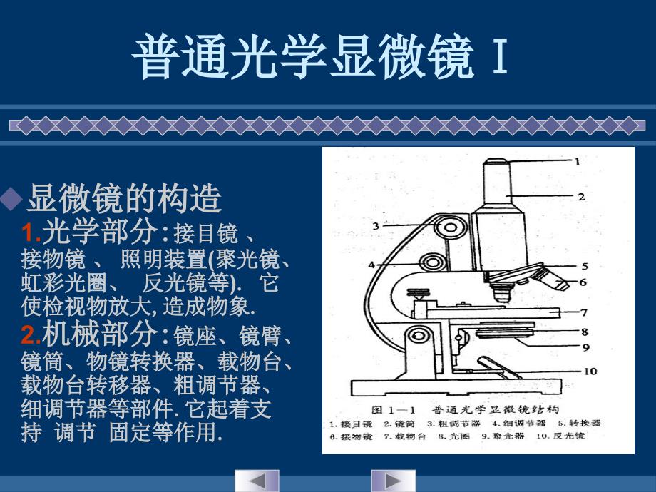 实验一 显微镜的使用和细胞形态的观察_第4页