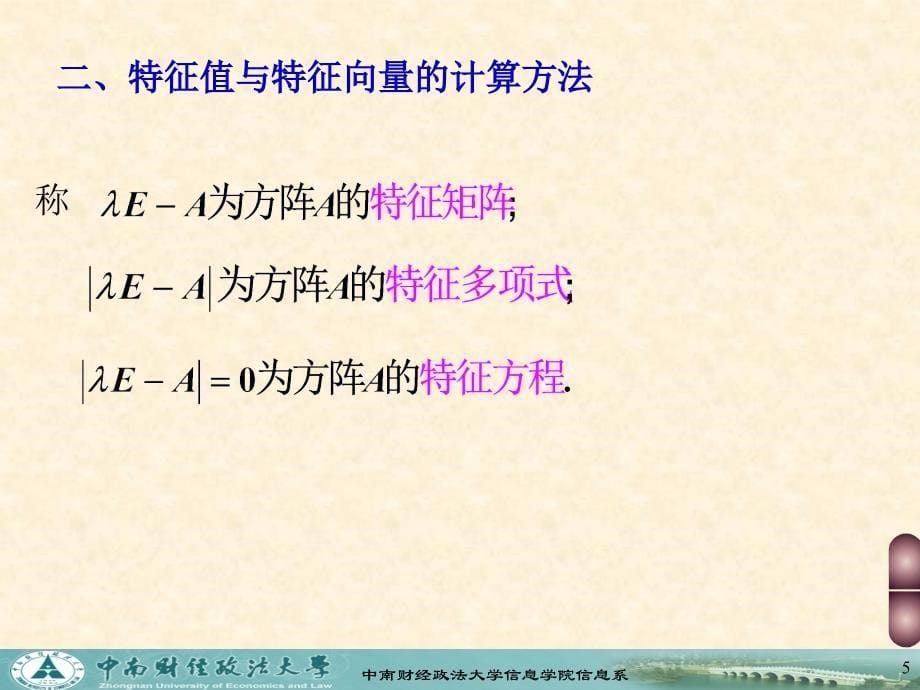 高数第二篇线性代数 第五章矩阵的特征值与特征向量定稿_第5页