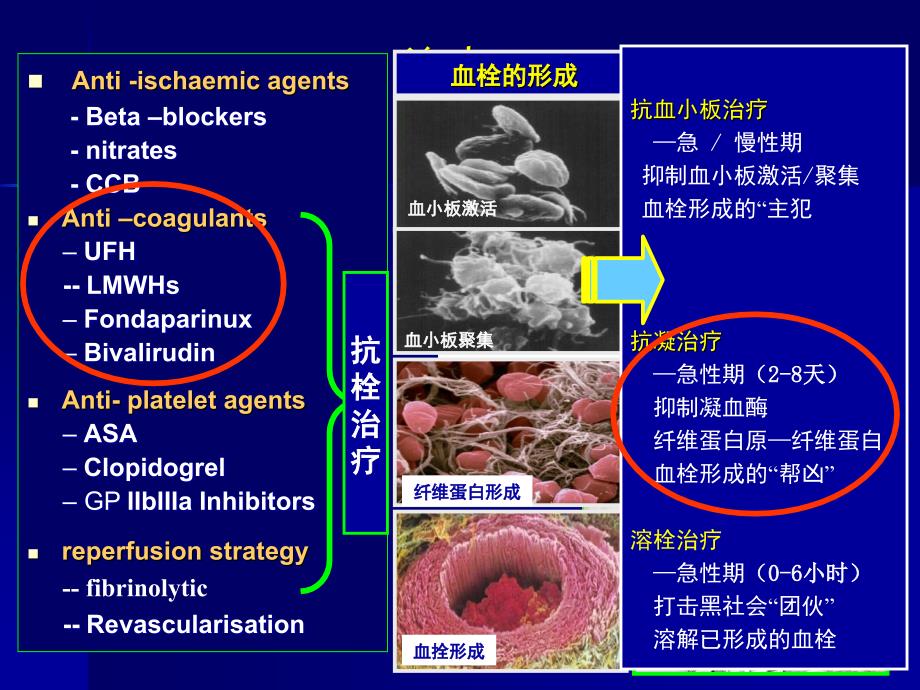 关注抗凝“特区”——依诺肝素的新证据_第2页