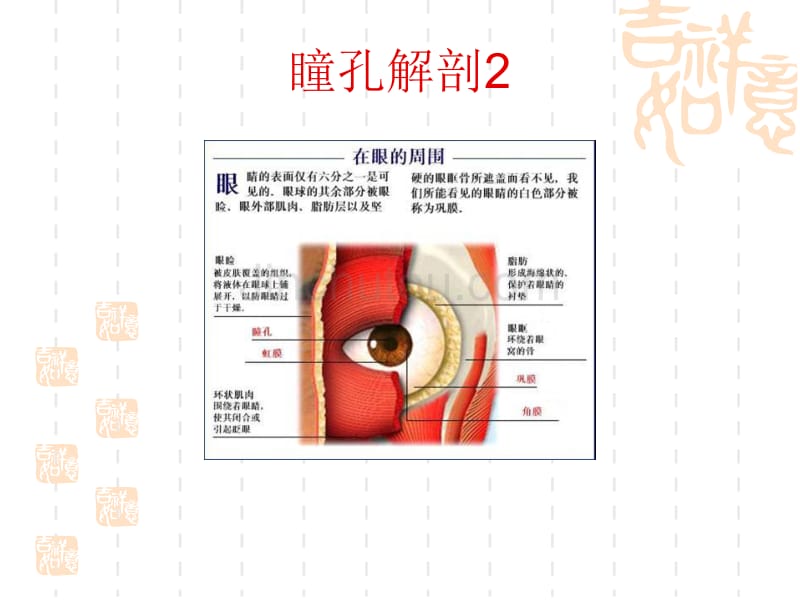 急症的自救、互救_第4页