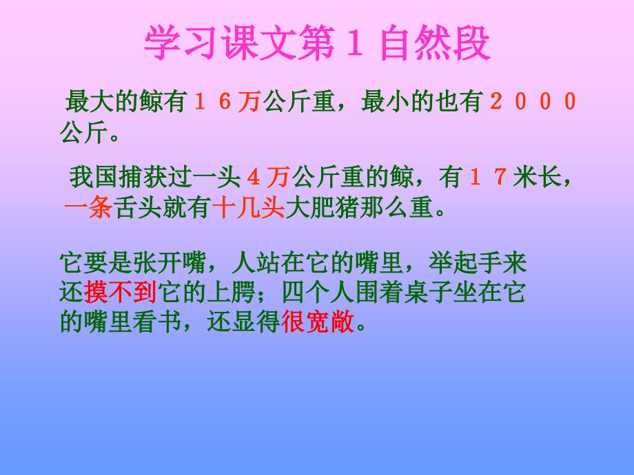 人教版小学语文《鲸》_第3页