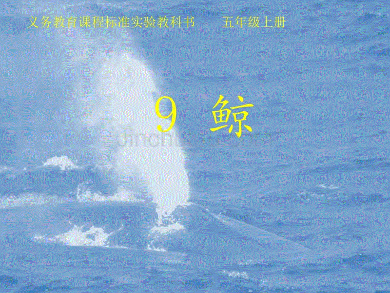 人教版小学语文五年级上册《鲸》(00002)