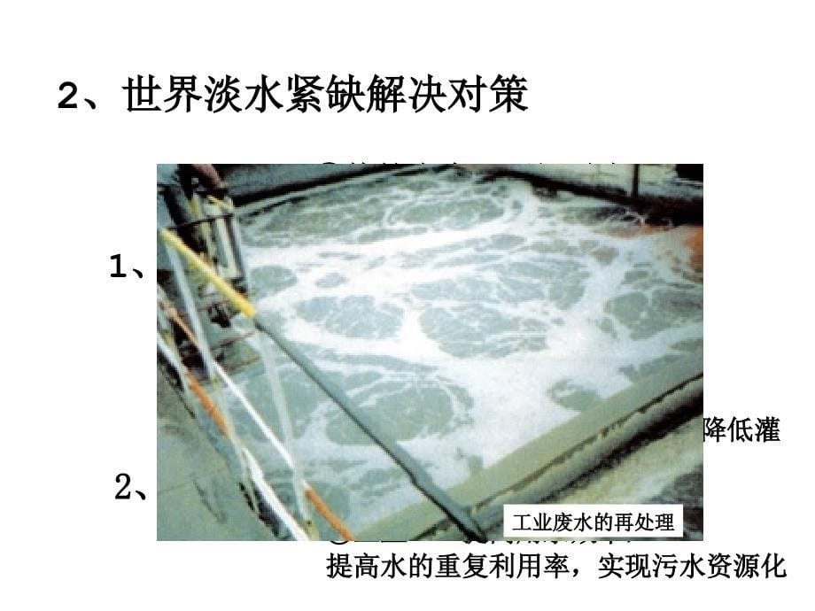 2013第二章第三节  可再生资源的利用与保护_第5页