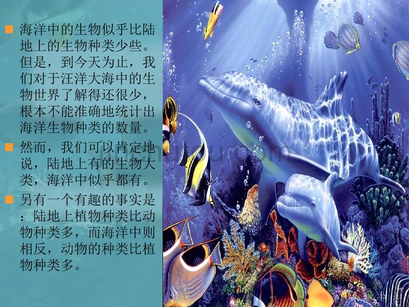 神奇的海底世界(五年级)_第2页