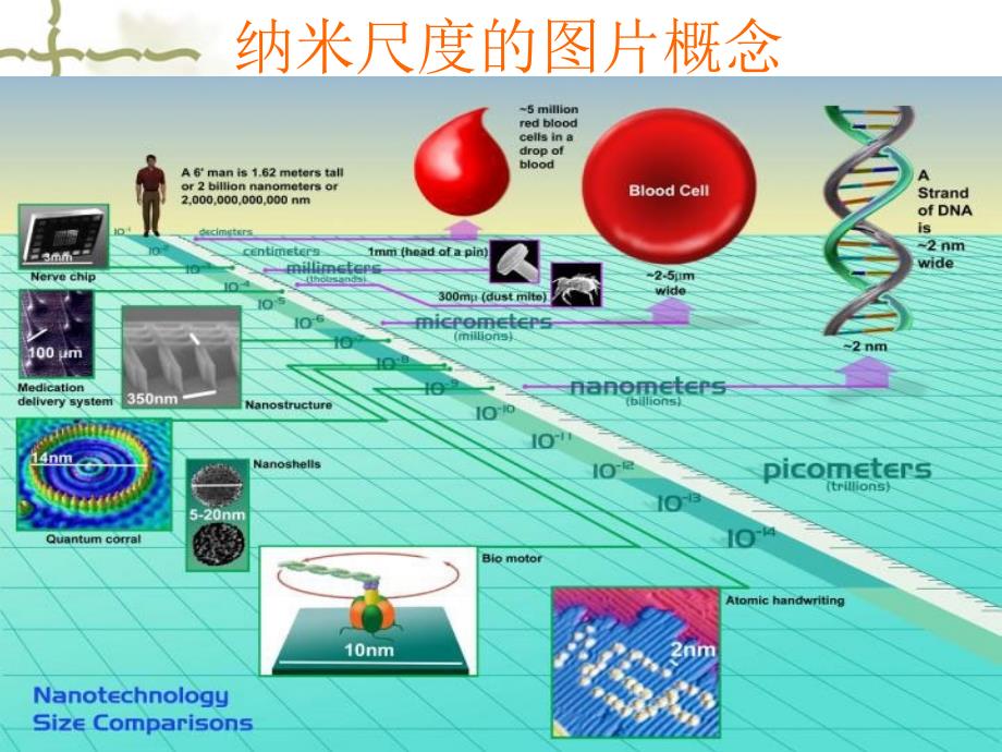 神奇的纳米世界_第2页