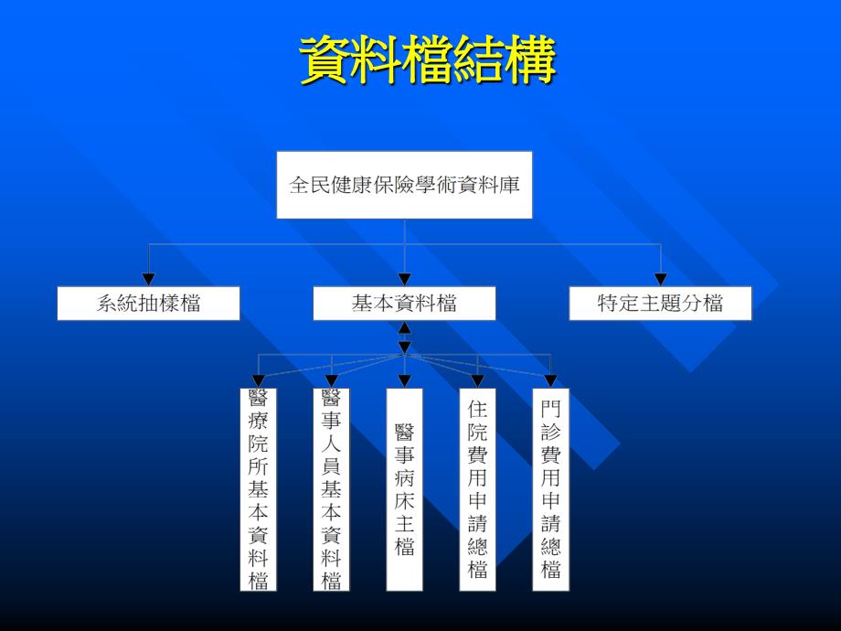 全民健康保险学术资料库基本档的应用经验_第3页