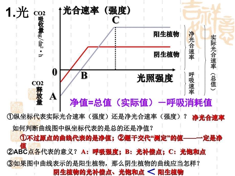 影响光合作用因素上课用_第5页