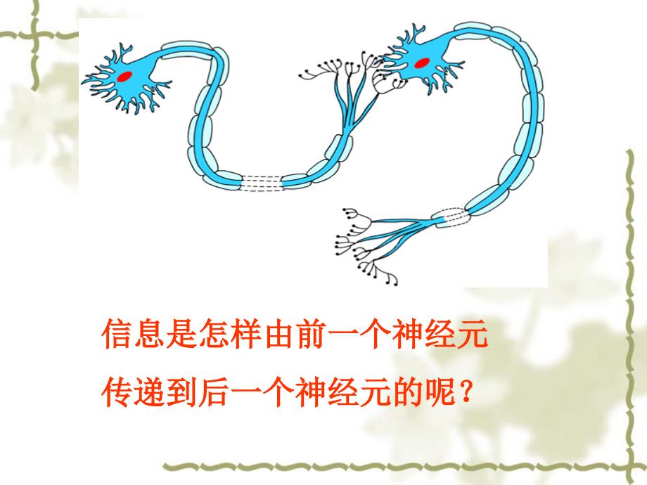 通过神经系统的调节第二课时_第3页