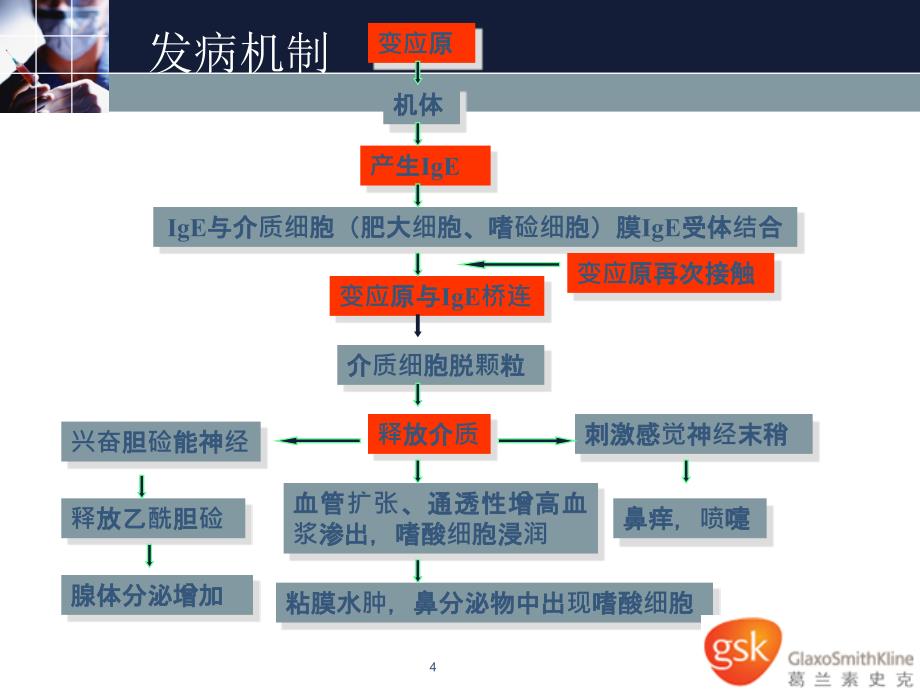 过敏性鼻炎by詹程远_第4页