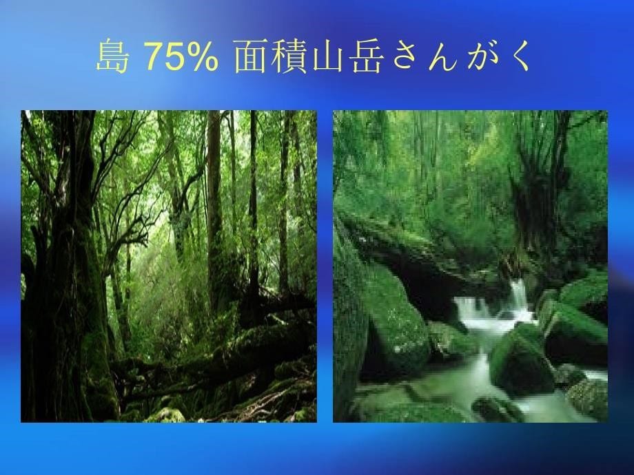 日语ppt 风景类 屋久岛_第5页