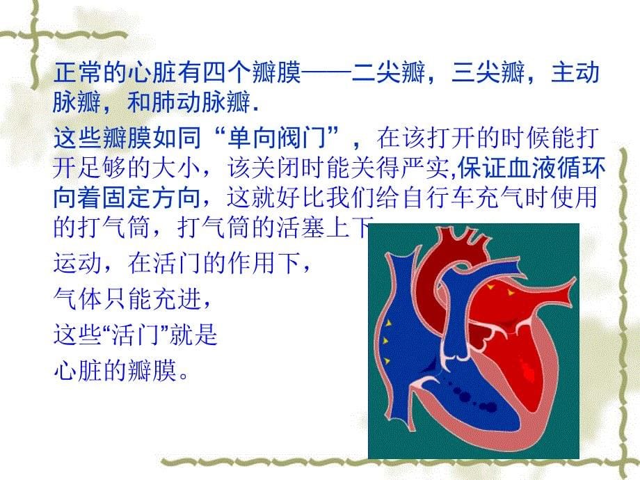 风心的护理查房_第5页