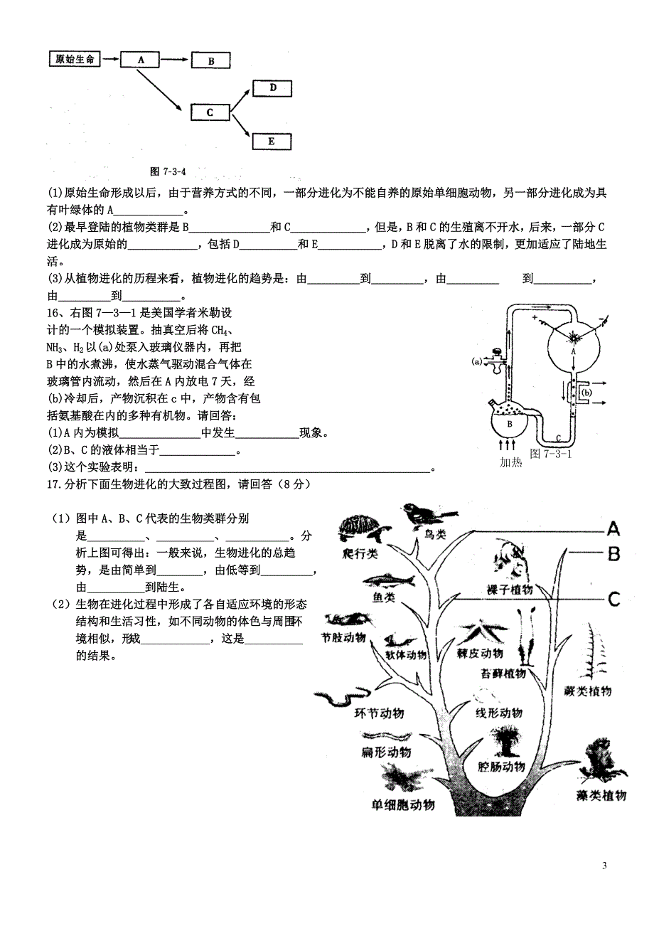 生物的起源与进化_第3页