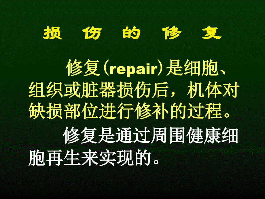 病理解剖学 损伤的修复_第2页