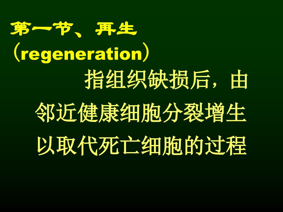 病理解剖学 损伤的修复_第4页