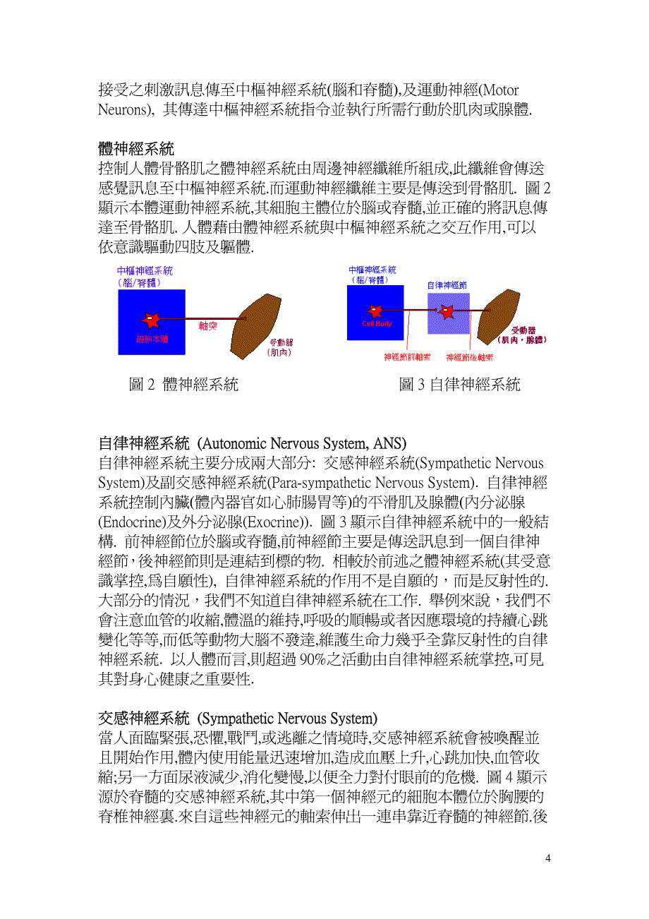 身心健康的支柱自神经系统_第4页