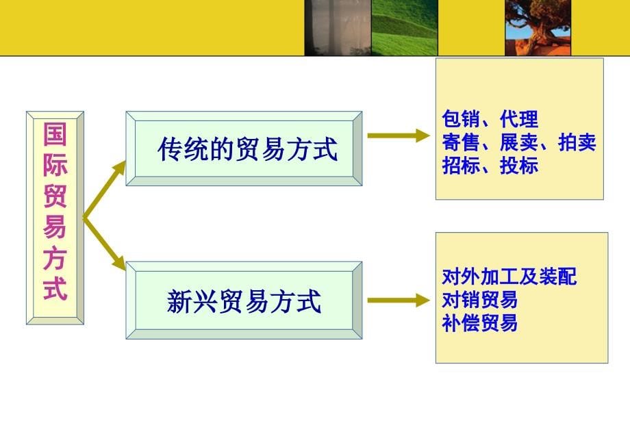 国际贸易的方式_第5页