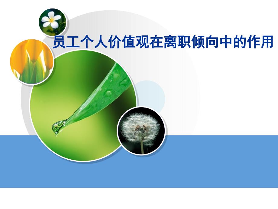 员工个人价值观在离职倾向中的作用_第1页