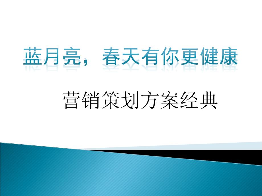 经典版蓝月亮品牌研究报告及品牌推广方案_第1页