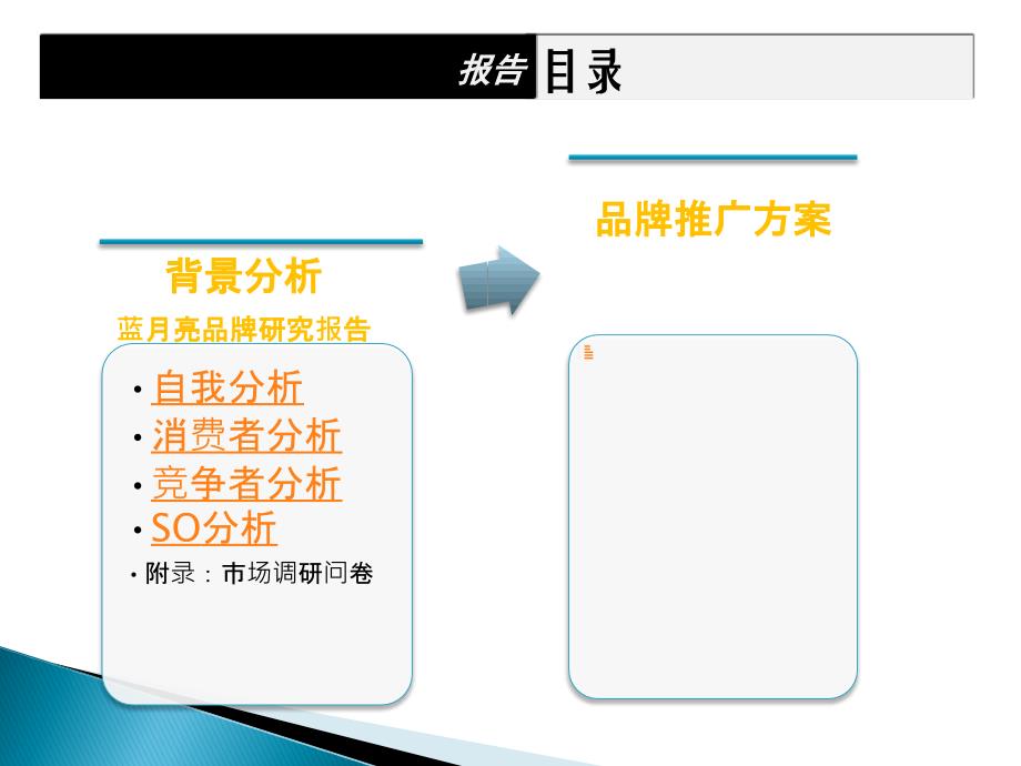 经典版蓝月亮品牌研究报告及品牌推广方案_第2页