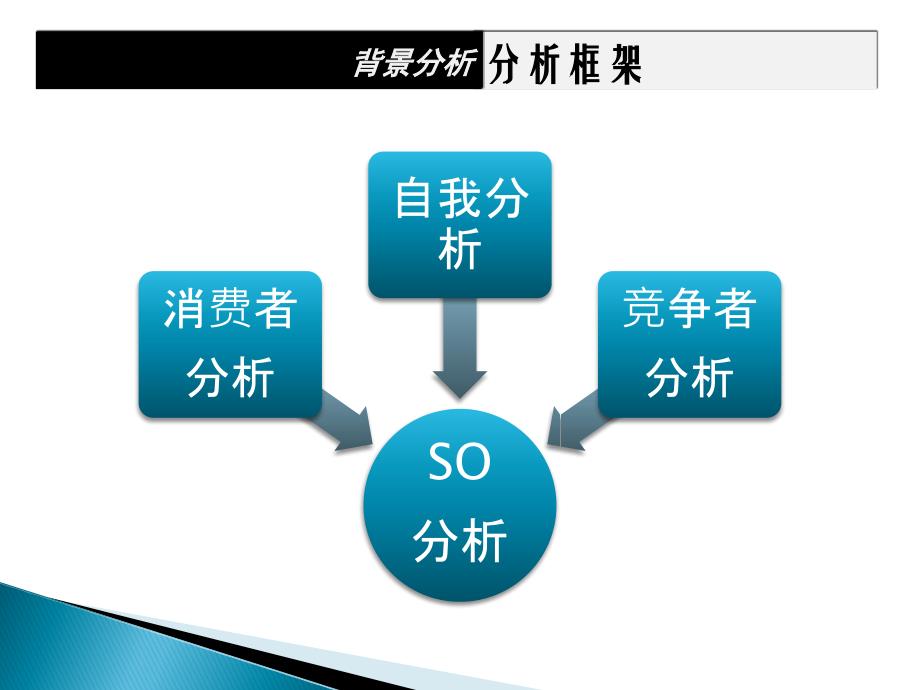 经典版蓝月亮品牌研究报告及品牌推广方案_第4页